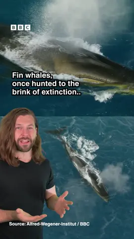 This good news is giving us hope 💙 @sambentley #FrozenPlanetII #iPlayer #Environment #ClimateChange #EcoNews