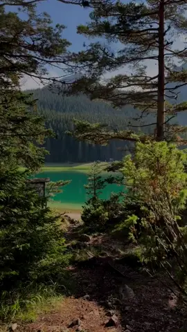 Our beautiful lake 😍 Black lake, Durmitor Montenegro ❤️🇲🇪 #holiday #nature #fypシ #wildbeauty #travel #foryou #viral #montenegrotiktok Credit's IG: @ljubicatrkulja