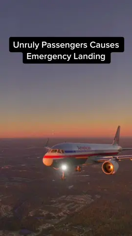 Unruly Passengers Causes Emergency Landing #microsoftflightsimulator2020 #aviation #airplane #avgeek #travel 