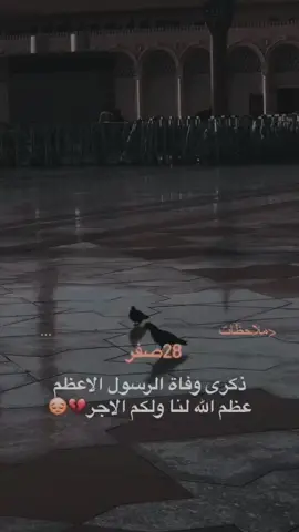 ‏السّلامُ عَليكَ يا نَبيِّ الرَّحمَةِ وَمُنقِذِ الأمَّةِ 💔