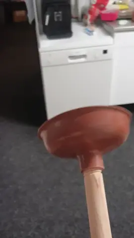 #foryou #foryoupage #plunger #Testingplungeronbaldguy @veeltv.nl