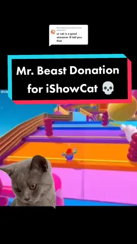 Antwort auf @andrejssula is Mr. Beast serious right neow? 💀 @IShowSpeed #ishowspeed #speed #ishowcat #cat #mrbeast #donation #fallguys #meow 