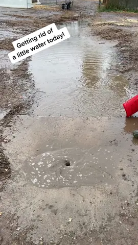 What’s better than being a kid and playing in a mud puddle?  I’d say… nothing! #farmlife #lovethiskid #mudpuddle #water #asmr #oddlysatisfying #fiona #hurricane #fionaaftermath #mesmorizing #funnel #kidsoftiktok #play #bara #technologyfree #happy #getdirty #fun #trending #viral #infinity #LearnOnTikTok #fypシ #fyp #foryou #havefun #dairyfarm #beforefiona #follow #viral #viralvideo #novascotia #canada