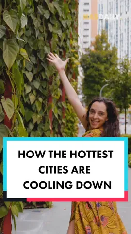 How The Hottest Cities Are Cooling Down! Hosted by @Sustentófila   #nasdaily #fyp #environment #green #short 