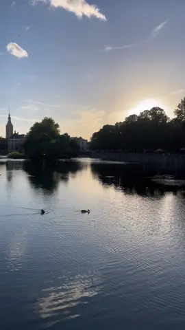 The beautiful Hofvijver and the Binnenhof building .  📍The Hague , Netherlands. #thehague #netherlands #hollandroden  #hofvijver #binnenhof #sunset #travel #traveler #nadjatraveler 