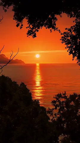#foryoupage #foryou #viral_video #nature #thenatureshub2 #satisfying 