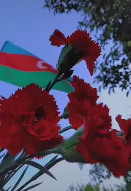 Torpağın üstündəki bircə damcı qandı ŞƏHİD🥺🇦🇿🥀#🇦🇿 #azerbaycan #sehidlerolmezvetenbolunmez #27sentyabr#sehidler#kesfet#kesfetbenionecikar #kesfetbeniöneçıkart #kesfetbenial #fyp#fypシ #ucrenglibayraq #keşfet#kesvet#keşvet#kesfetteyizzzzz 