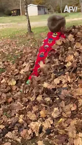 We are falling for these fails! 😂😂 #fail #fails #fall #autumn #autumnvibes #fyp #funnyclips #failcompilation 