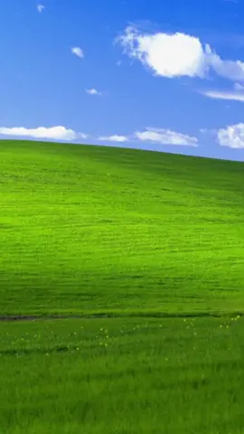 The real background was the friends we made along the way. #microsoft #fyp #windowsxp #desktopbackground
