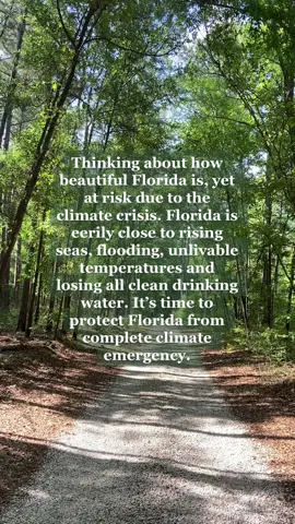 Sign the petition to save Florida from becoming the climate emergency state! 💚 #naturelovers #floridaecology #floridaclimate #climateemergency #floridaclimateemergency #naturetok 