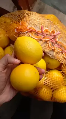 buah lemon California murah sarilemon murni 100% , kepoin di IG : kinglemon.id shopee kinglemon #TangkapMini 