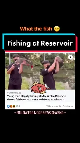 #macritchiereservoir #fishing #sgnews #tiktoksg 