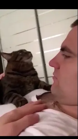 #funnyanimals