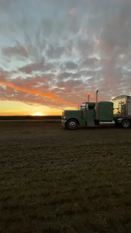 Finally back at it after some rain and crappy weather! 🌧️ #farm #farmtok #farmlife #johndeere #agtok #peterbilt #peterbilt389 #sunset #myfallstarbucksorder 