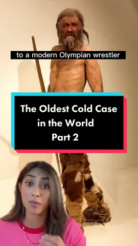 Meet Otzi, the oldest & most well preserved ancient human ever to be found #archeology #otzi #ancienthistory #ancienthumans #copperage #HistoryTime #sciencetok #EduTok 