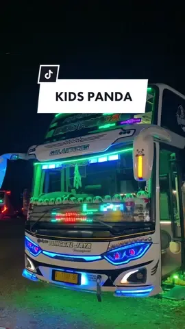Sadang dimari ada kids panda jgn lari🐼 #kidspanda#tunggaljaya#spontan#adiputro#jetbus3#turbo#diesel#hino#vidiobus#fyp#fypシ