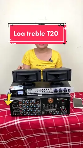 Loa treble T20 giá rẻ , âm thanh tốt . #loatreble #loatrebleroi #loatrep #loatep #loacheproi #loateproi #loatest 