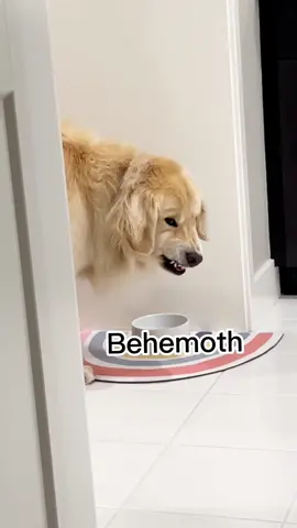 👹everyone has dark side #goldenretriever #dogsoftiktok #monster 