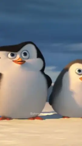 #fy #foryou #pinguinsdemadagascar #frases 