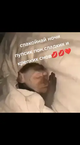 рек#fyr#rge#пон#спакойнай ночи друк @нидовольни нипон 