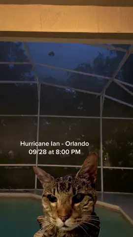 Getting closer to orlando. The worse comes tomorrow AM. #hurricane #hurricaneian #hurricaneian2022 #cats #catsoftiktok #orlando #florida 