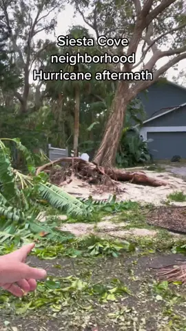 Siesta Cove makes it out relatively fine. Just lots and lots of trees and branches that went down. #hurricanian #siestakey #florida #hurricane 