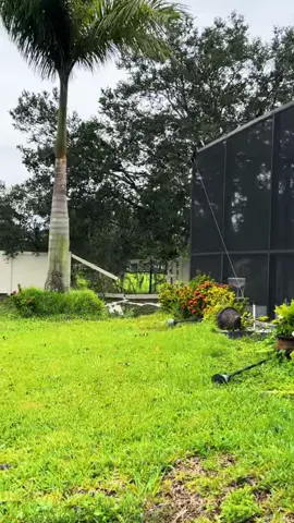 #floridalife #huracan #after#florida#update .
