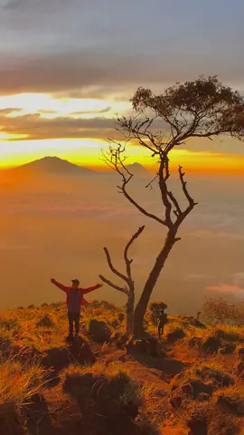 ( Post ulang ) Golden sunrise secakep ini #mtsumbing3371mdpl #gunungsumbing #fyp #sunrise #tiktok #fypシ゚viral 