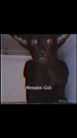 Na na nanana #memphsicult #memphiscult #dirtymoneymemphiscult #memphis #cult #hell #dirtyhoes1996 #creepy #earlymorning #phonkdrift #dirtyhoes #phonk #phonk_music #666 #jdm #memphisculture 