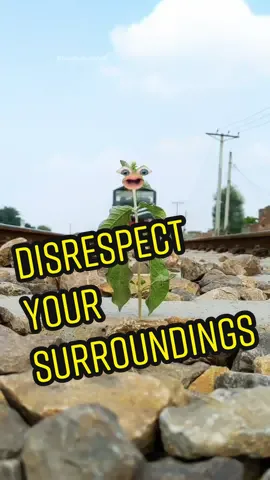 Replying to @partyof5ive Here you go! 😆🌿 #trainplant #disrespectyoursurroundings #mrhighwaysthinkingabouttheend #adaytoremember #facesonthings #imdead #hilarious #requested 