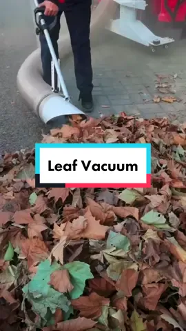 So many leaves #gardentools #garden #leaves #tools #Outdoors #foryoupage 