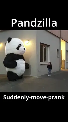 #hilarious #pandalover #prank #fyp #fun #frightened #suddenly #funny #trending