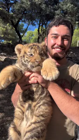 #safariaitana #fyp #foryoupage #parati #foryou #viral #kawaii #cute 