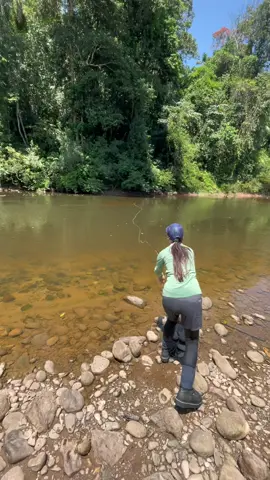 Golden dorado rush !  Sightfishing for golden dorado in Bolivian Amazon 🔥🔥  #flyfishing #flyfishingtiktok #fishing #fishinglife #travel #traveltiktok #bolivia #travel #fishingtips #goldendorado #