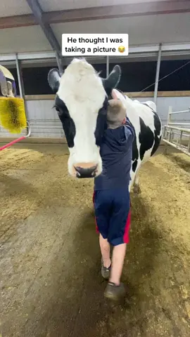 Posing for a picture with ‘Gary’ the cow.  Although all the cows in the barn are girls many of them have boy names- stay tuned to meet Kyle, Gus, Diesel and Frank! #dairyfarm #raisedonafarm #fyp #fy #foryou #farm #farmlife #farmboy #cows #garythecow #cow #cowtok #farmtok #tame #Love #kind #ag #agriculture #dairycows #drinkmilk #supportfarmers #bloopers #viralvideo #viral #doritosflatlife #LearnOnTikTok #novascotia #canada