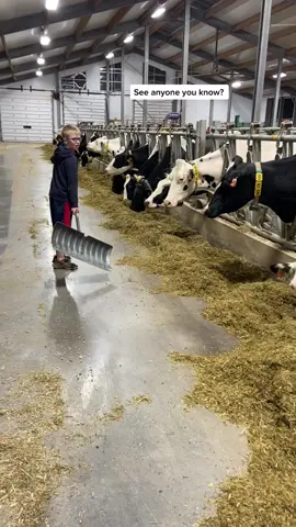 Pushing in a little feed tonight at barn check! #buggythecow #dairyfarm #raisedonafarm #fyp #fy #foryou #farm #farmlife #farmboy #cows #cow #cowtok #farmtok #tame #Love #kind #ag #agriculture #dairycows #drinkmilk #supportfarmers #viralvideo #viral #doritosflatlife #LearnOnTikTok #novascotia #canada