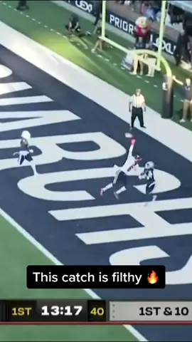 Is this the catch of the year ? #cfb #CollegeFootball #libertyuniversity #fyp 