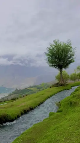 #viral #fyp #foryou #foryourpageofficiall #trending #kashmirgroup #