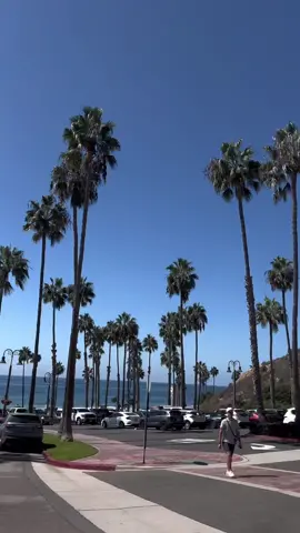 Boston —> San Diego #sandiego #weekendvlog #sandiegovlogger #sandiegovlog #sandiegolife #socallife 