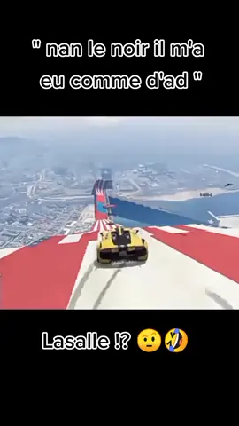 Pov : l'aveugle qui tombent sur ce Tik Tok 😂😂#pourtoi #lasalle #gta5 