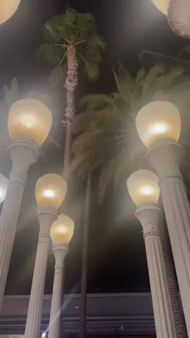#doguie #fyp #viral #losangeles #urbanlights 