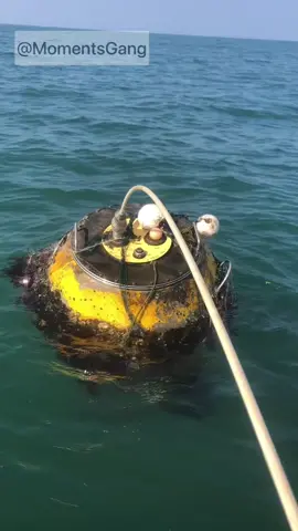 Strange object found at sea 😳