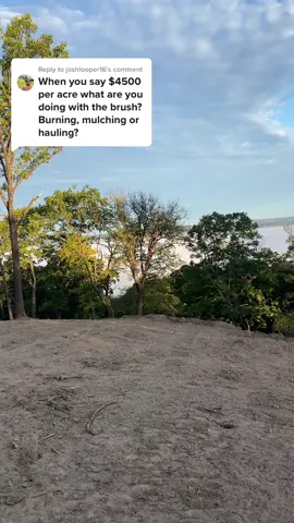Replying to @joshlooper16 land clearing#operator #landclearing #trees #development #andGO #pricing