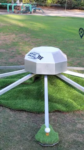 NG......THE MACHTOPUS!!!!!  Our fearless leader/inventive genius really popped off!!  We are gonna have some fun with this one!!!   Who wants to see someone attempt to go head to head with The Machtopus?! 🐙😏 #golf #golfball #golflife #machone #machtopus #prank #reaction #golftktok #giftidea