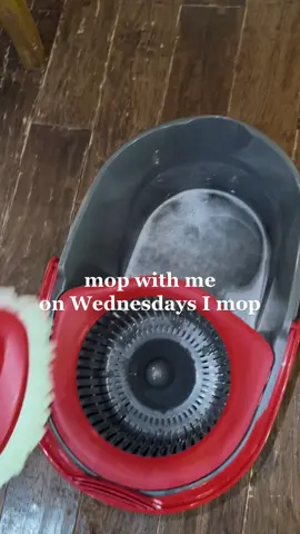 🫧Wednesdays- the day that almost always works as my deep cleaning/ mopping day due to our schedules- so on Wednesdays we mop 😅 #moptok #mopwithme #CleanTok #cleanwithme #cleaningtiktok #OverwatchMe #andGO #cleanformentalhealth #StressRelief #deepclean #cleaningmotivation #motivation #homereset #cozyhome #cleanhome 