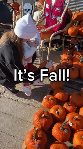 Bentley’s first time choosing out pumpkins. ✨ #fall #pumpkinpicking #fallvibes #fallday #toddler #mom #family #momlife #boymom #pregnant #parents #bigbrother #kytebaby #FamilyFun #disability 