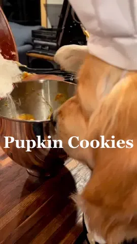 I never stawp! @kitchenaidusa #nodaysoff #kitchenaidmixer #kitchenaid #bakersoftiktok #chefsoftiktok #cutepuppy #dogsoftiktok 