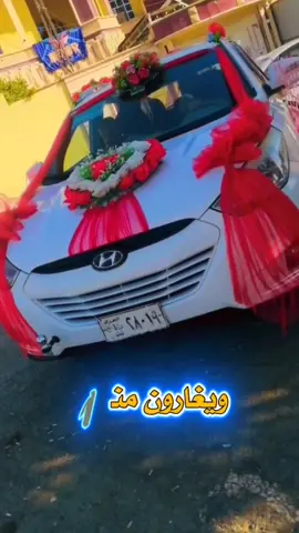 #تزيين-سيارات-اعراس#ترند_سيارات_اعراس #تيم_العراق #جنوب_الموصل #ناحية_حمام_العليل #ترند_جديد #العبودي 
