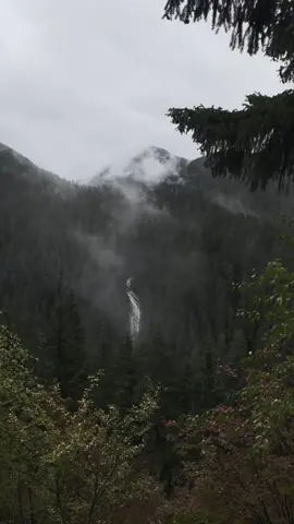 Packwood, WA gives the most Twilight vibes I've ever felt. Never wanted to leave.  #peaceful #relaxingsounds #washington #packwood #Hiking #riversounds #twilight #twilighttiktok #darkedits 