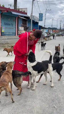 🥺🥺❤️❤️❤️ #eshaalovee #fyp #ishapetstory #petanimals #strayanimal #donthurtanimals #happiness #happyplace 